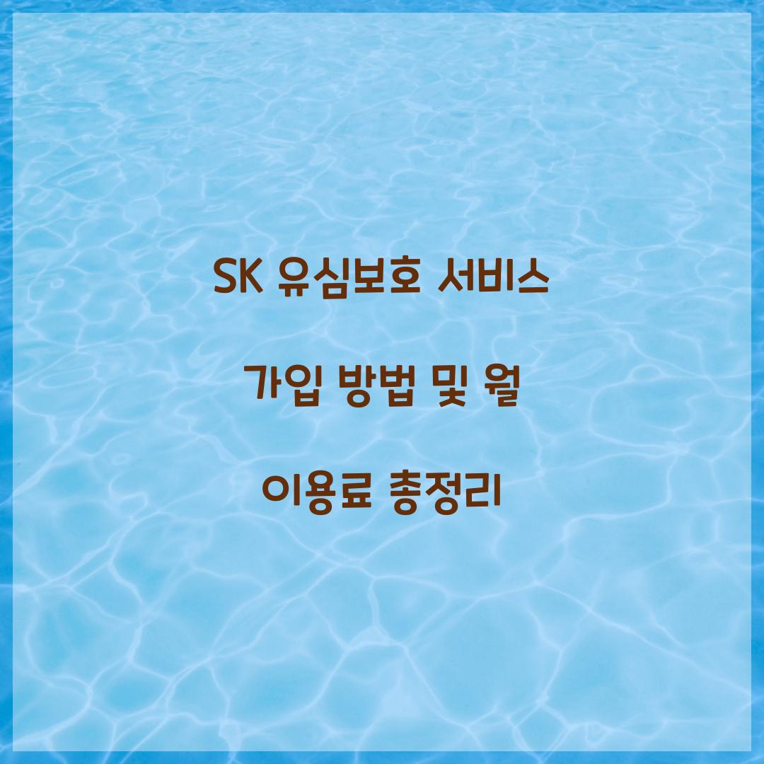 SK 유심보호 서비스 가입 방법 및 월 이용료 안내