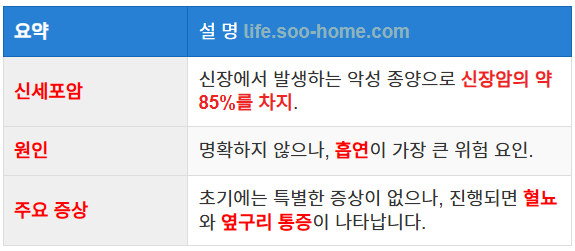 신장암 원인 및 주요증상