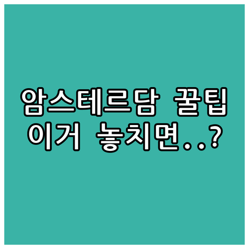 암스테르담 호텔 6곳 핵심 비교 조식..