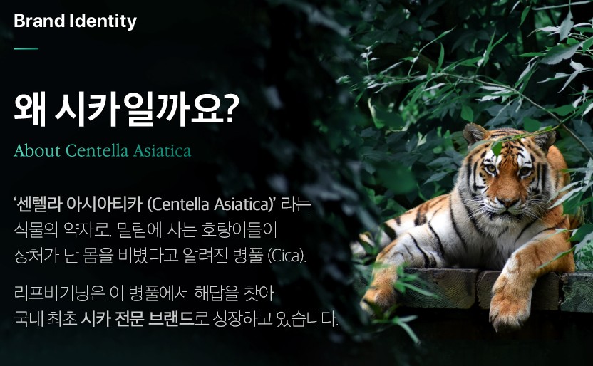 숲속에-호랑이-한마리가-있고-왜-이름이-시카인지-알려주고-있습니다.