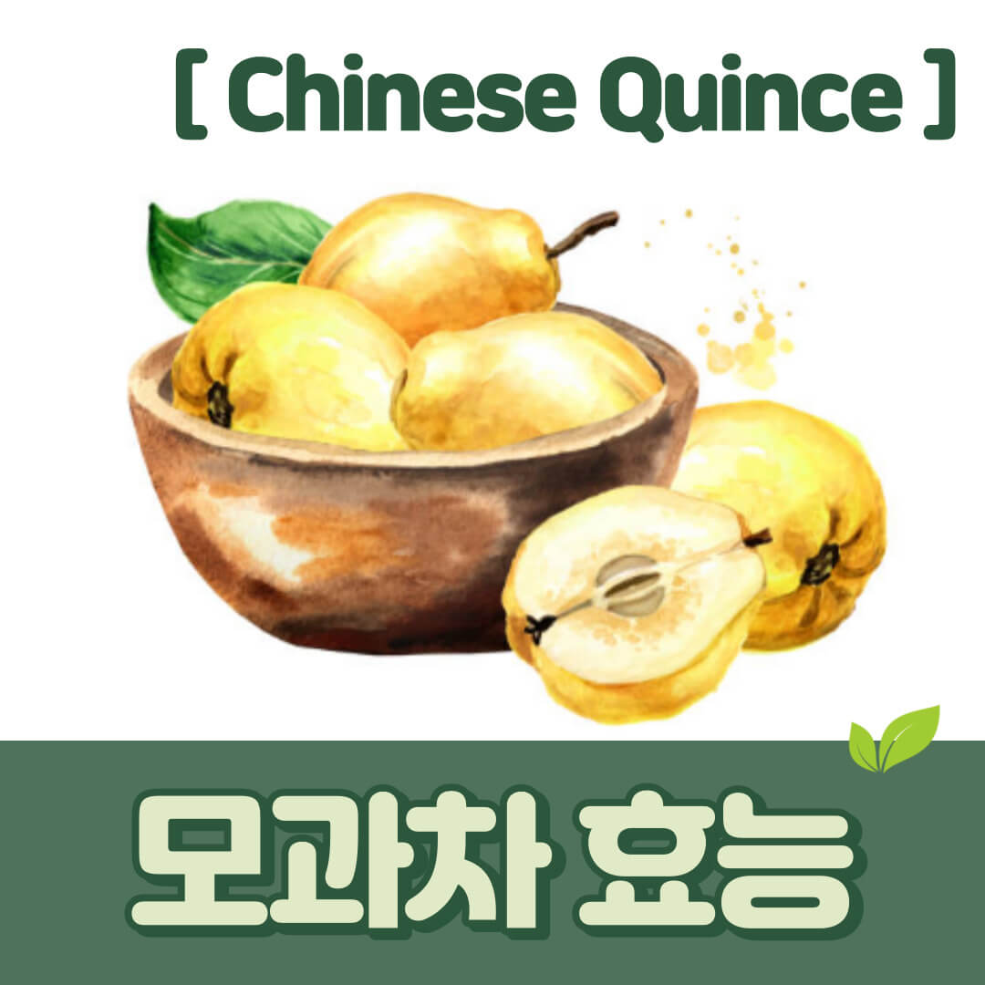 모과