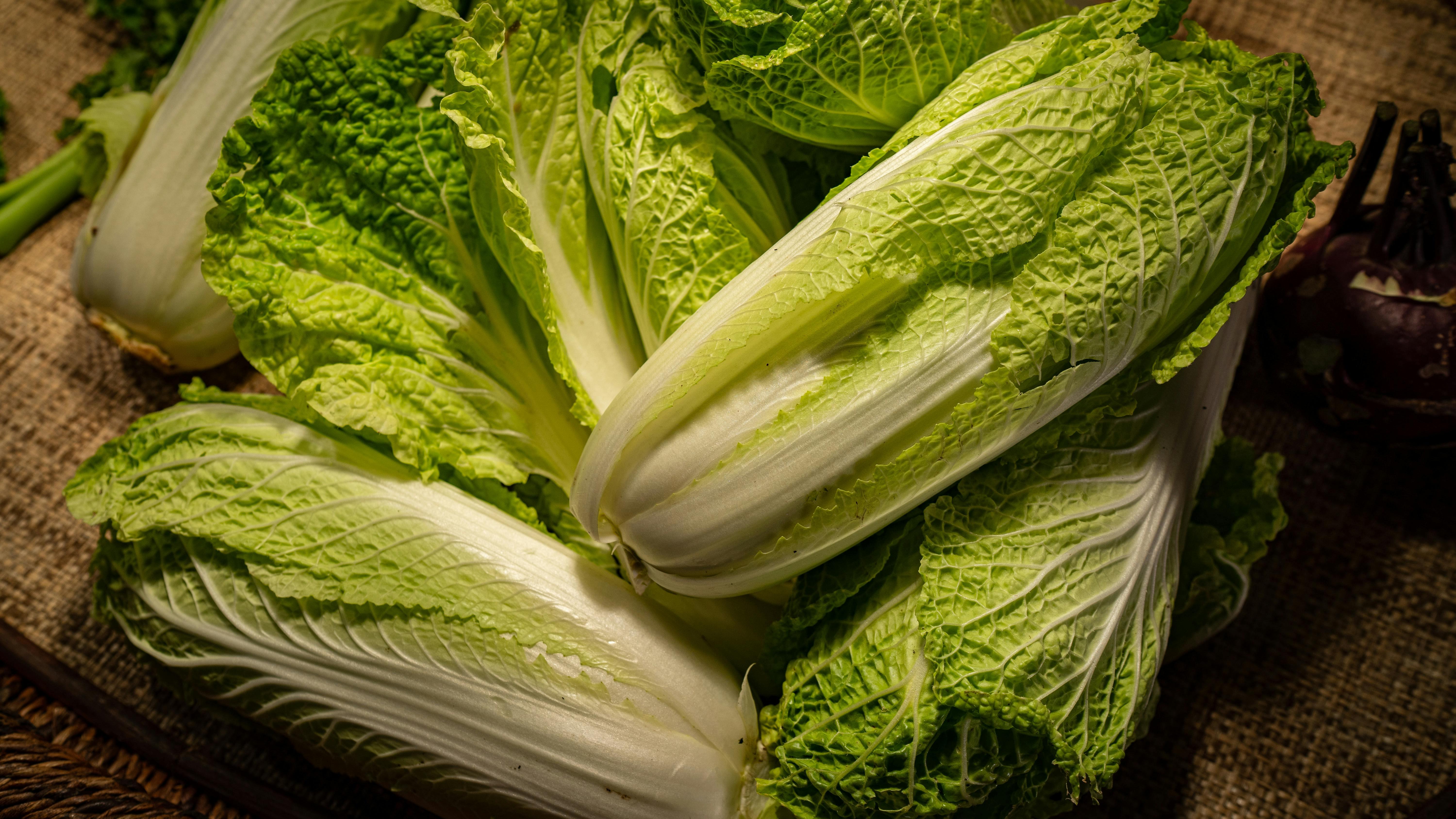 우거지의 기원 관련 사진