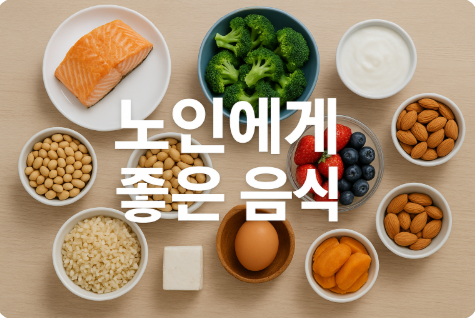 노인에게 좋은 음식