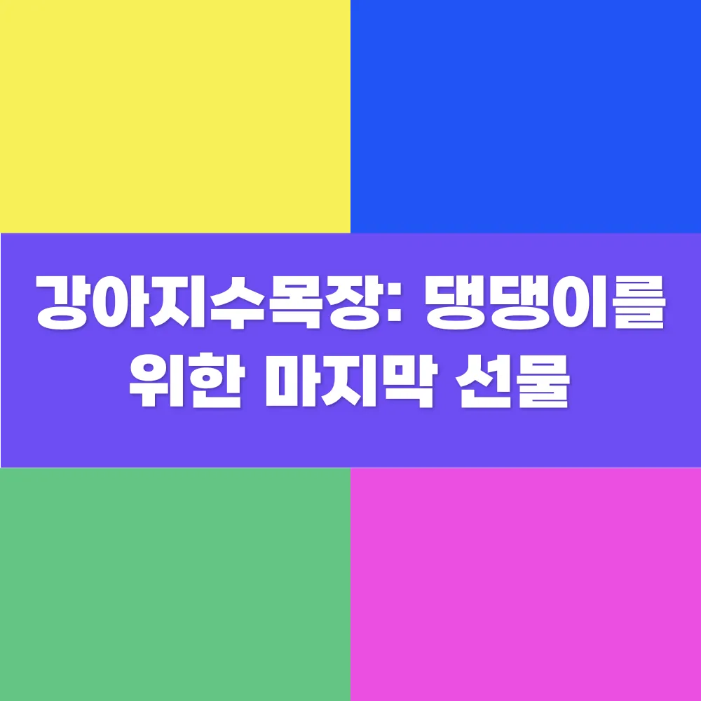 썸네일 이미지