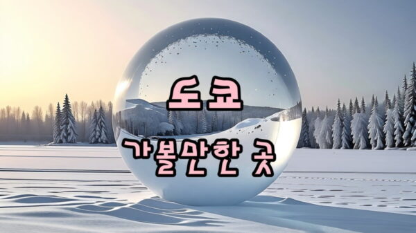 일본 도쿄 여행지 썸네일