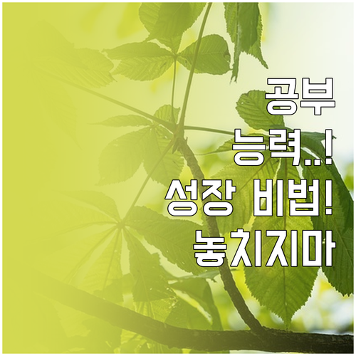성적은 물론 비인지적 능력까지 키우는..