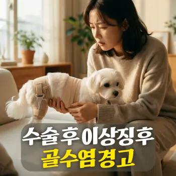 수술 후 이상징후 골수염 경고
수술 부위에 붕대 혹은 보호대를 감고 있는 작고 귀여운 소형견(말티즈)의 뒷다리를 조심스럽게 살펴보는 보호자(한국인)의 걱정 어린 시선과 손길. 배경은 햇살이 드는 차분한 거실이며, 배경은 깊은 아웃포커싱(보케 효과) 처리.