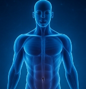 마그네슘이 풍부한 음식