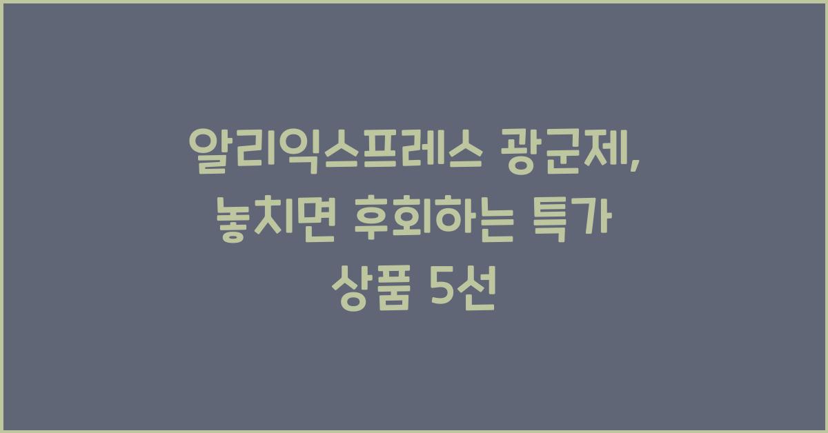 알리익스프레스 광군제