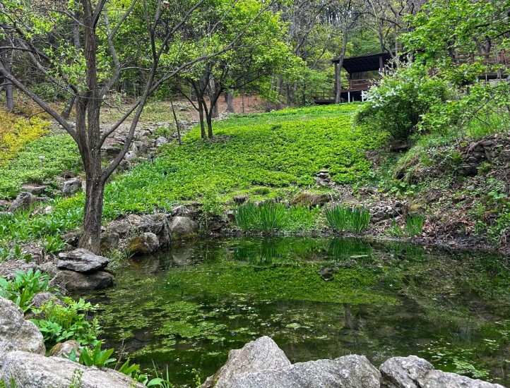 용인자연휴양림예약하기