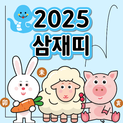 2025삼재띠