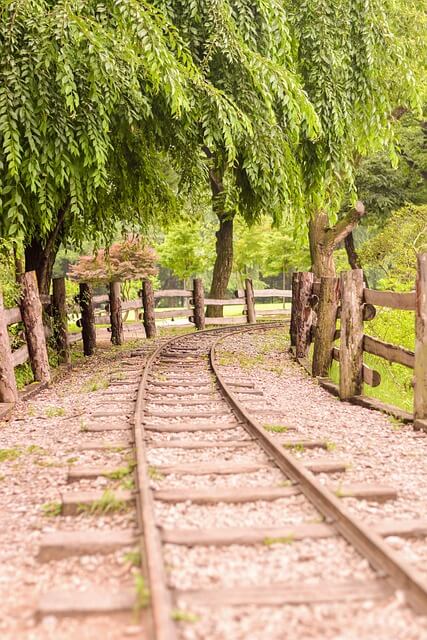 남이섬 배시간표