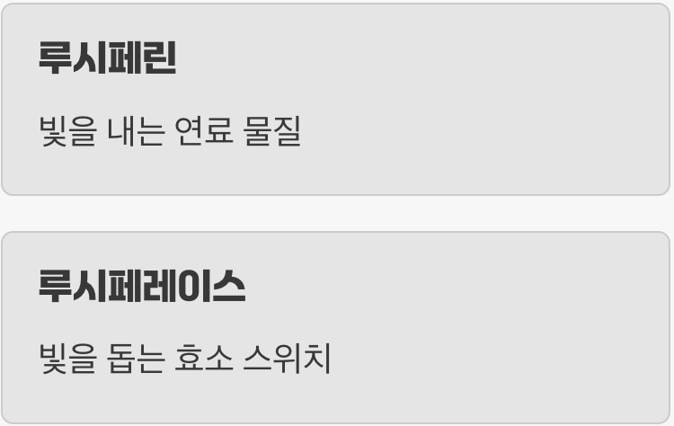 빛을 만드는 두 가지 핵심 재료