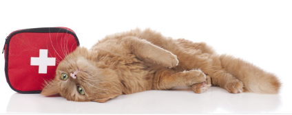 대처하기 위해.