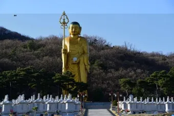 음성 맛집 베스트10 현지인 강력 추천 맛집_11