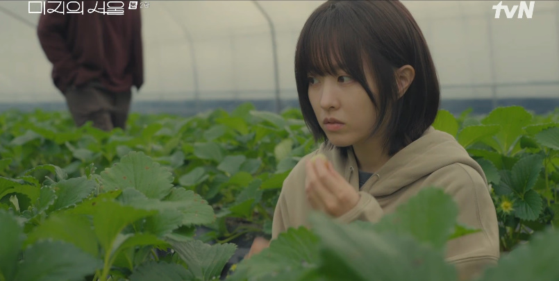 미지의 서울 줄거리