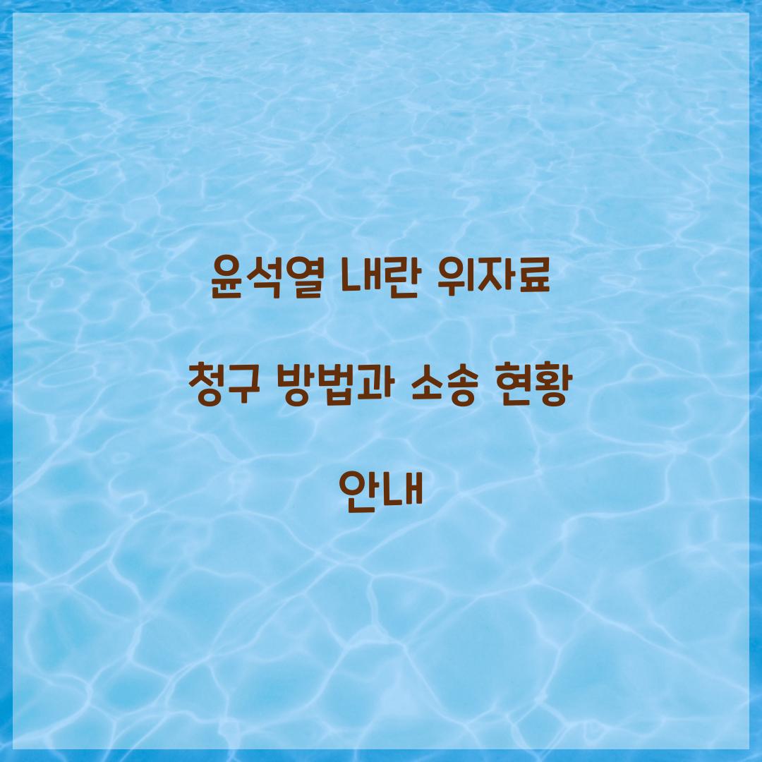 윤석열 내란 위자료 청구