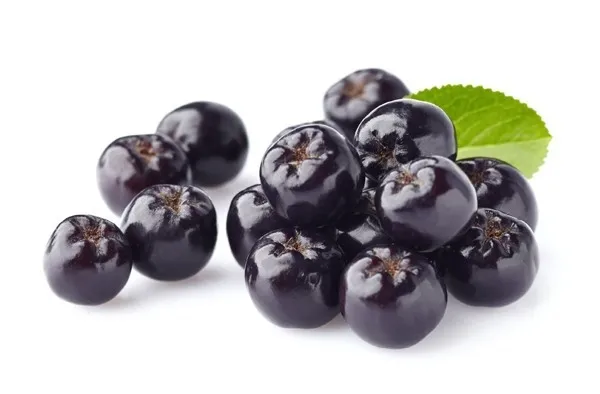 아로니아 효능 칼로리 권장섭취량_1