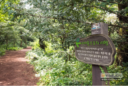 제주도 가볼만한곳 10곳