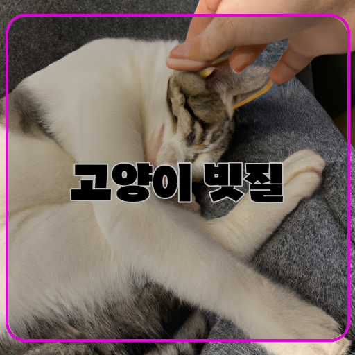 고양이-빗질-즐거운-시간