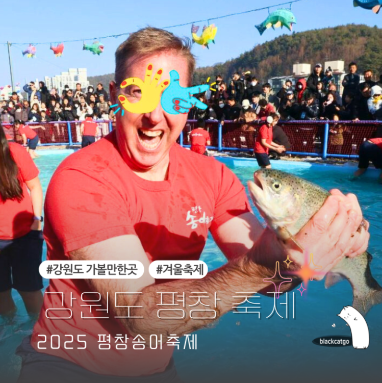 강원도 평창 축제