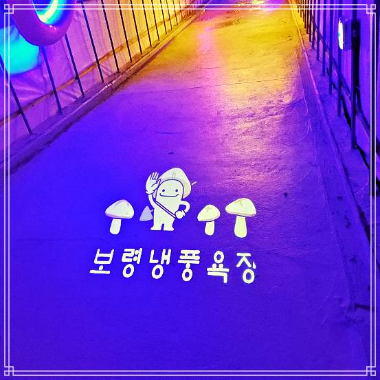 생생정보 냉풍욕장, 키조개 한상 맛집, 머드 축제 문의 연락처 소개 방송