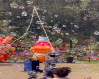 피나클랜드 불꽃축제 억만 송이 봄꽃축제_5