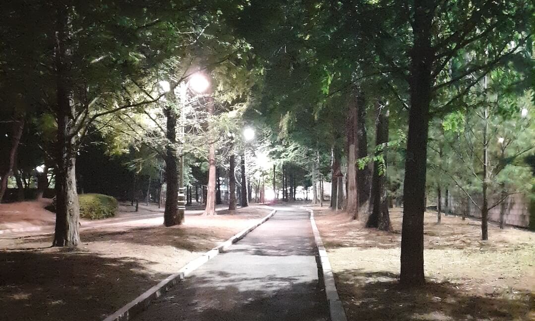 밤 시간대의 조명이 있는 공원 내부의 길