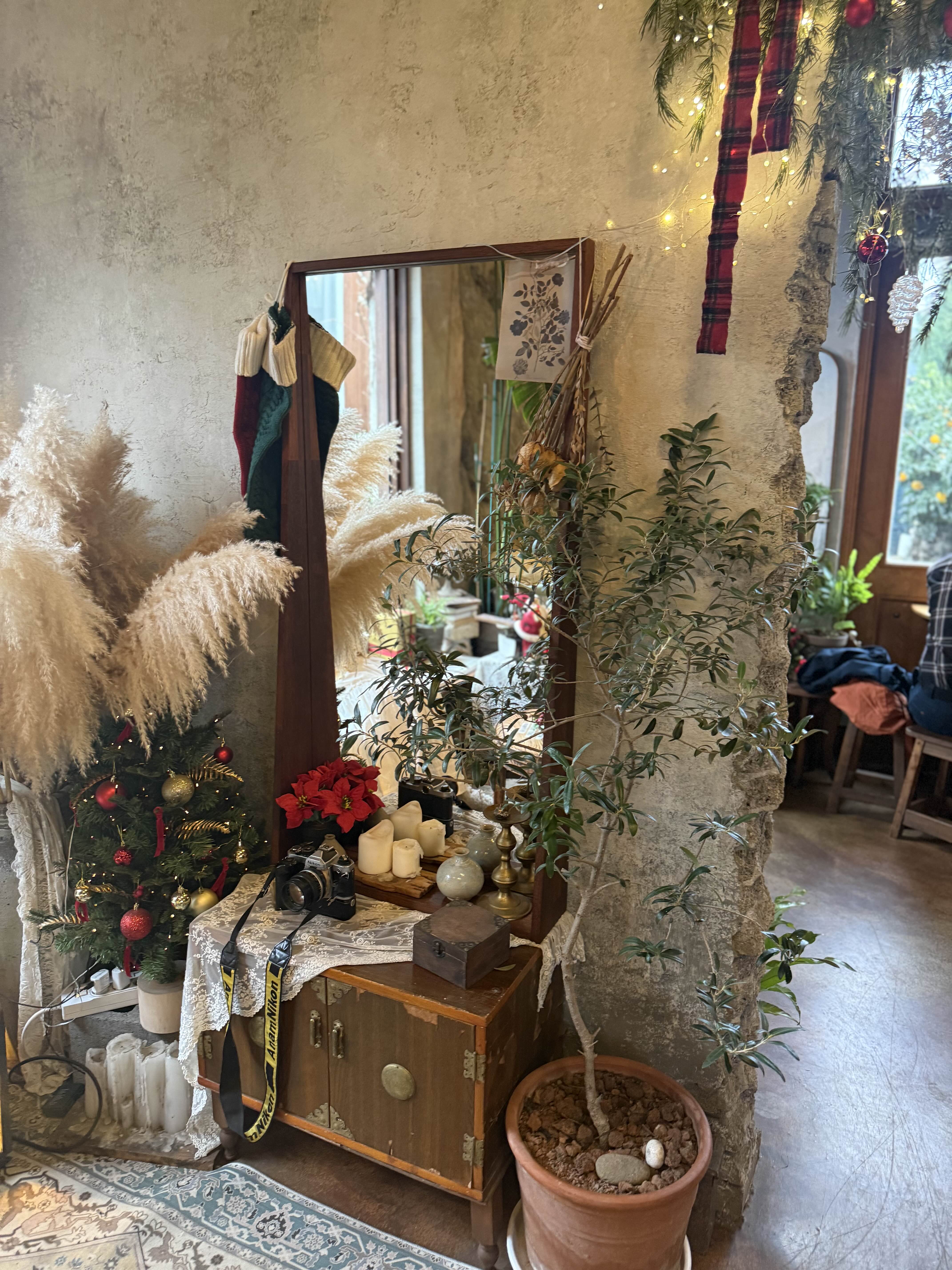 귤꽃다락 포토존