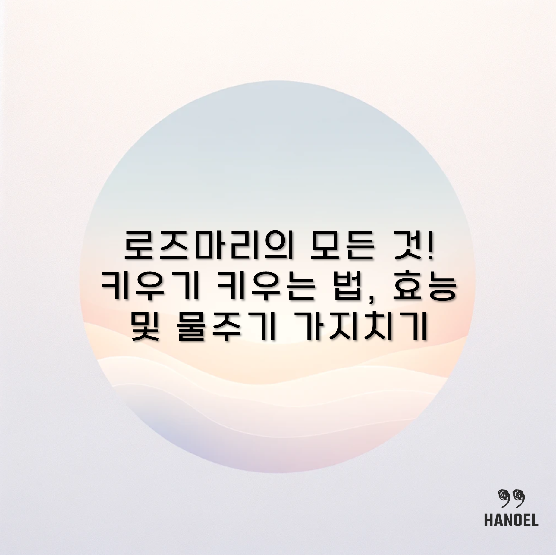로즈마리의 모든 것! 키우기 키우는 법, 효능 및 물주기 가지치기