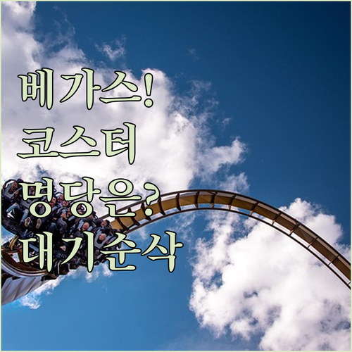 라스베가스 뉴욕뉴욕 호텔 빅 애플 코..