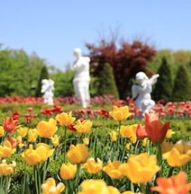 4월 봄꽃 축제 일정 (서울/인천/경기도)