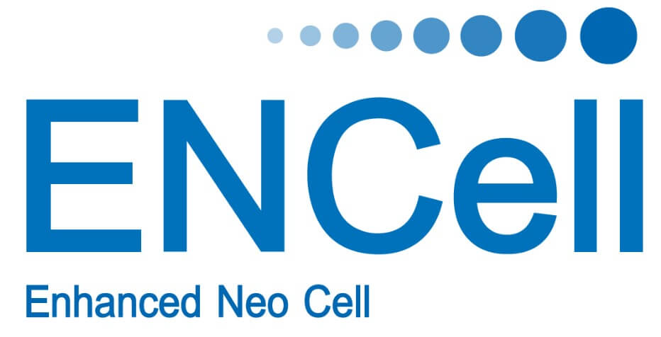 이엔셀 주가 배당금 지급일