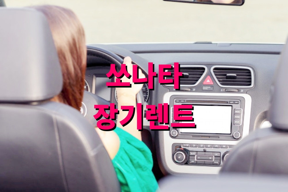 쏘나타 장기렌트