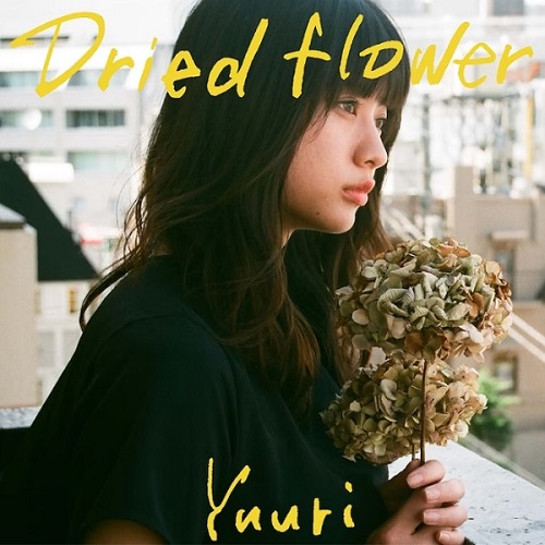 드라이플라워 유우리 yuuri 優里 ドライフラワー Dried Flowers 가사 해석 번역 일본어발음 노래방 곡정보