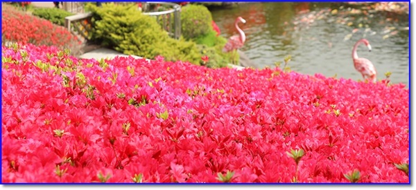 4월 5월 가볼만한곳 지역축제