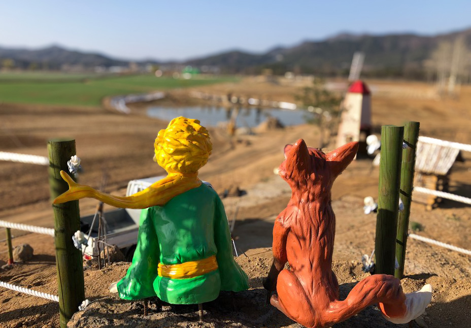 철원 고석정 꽃밭 구경 꿀팁 대방출