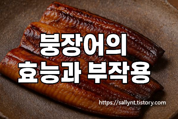 붕장어의 효능과 부작용