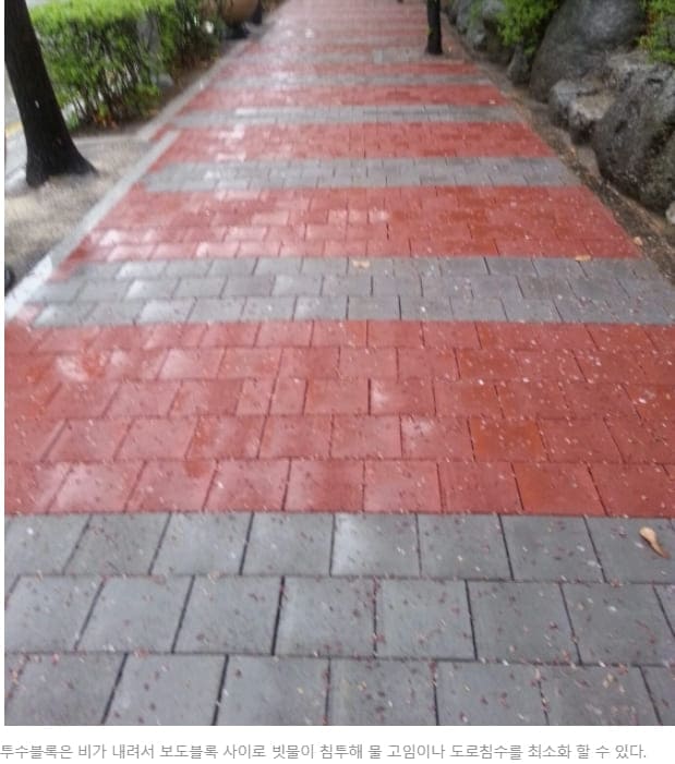 "투수블록 물빠짐 성능 측정방법 유효성 검증 표준 개발" 국립환경과학원