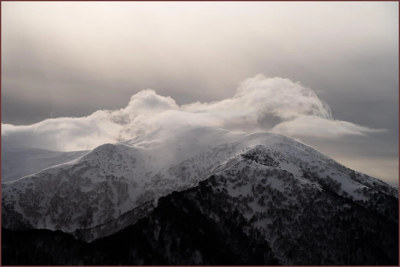 은행 정기예금 금리비교