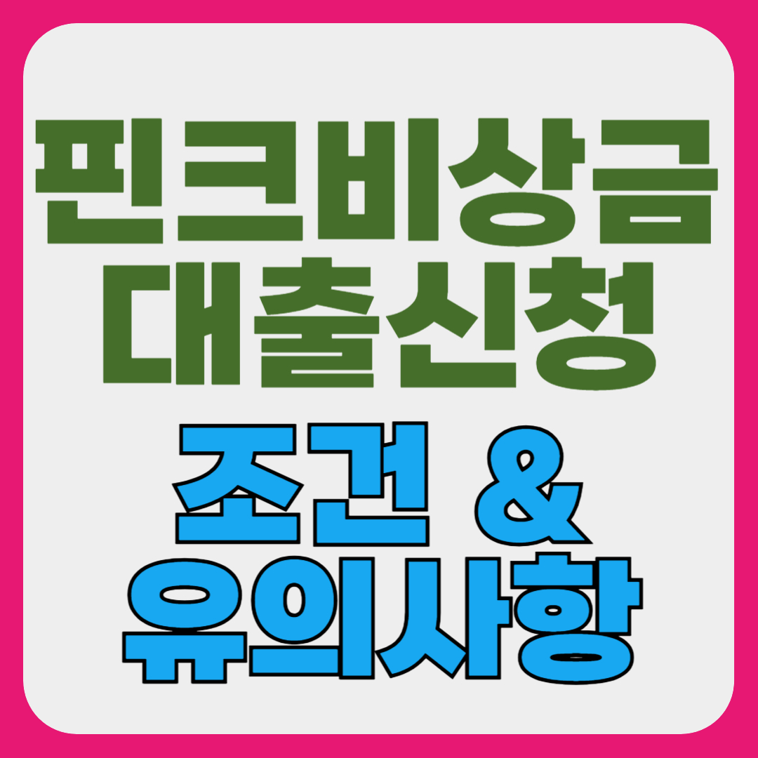 핀크 비상금 신청