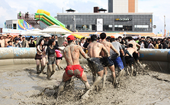 2025 보령머드축제 완벽 가이드