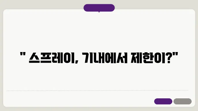 스프레이 기내 반입