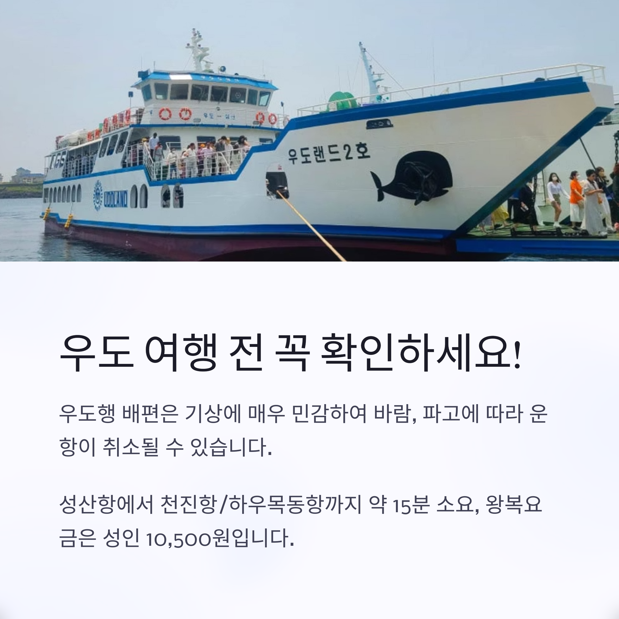 우도 여행 전 꼭 확인하세요!