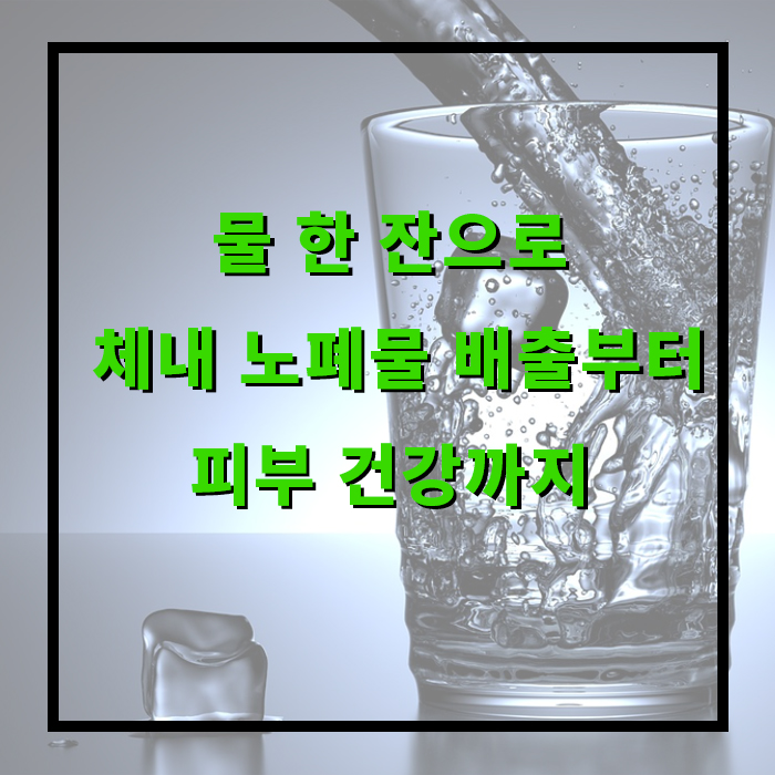 물 한 잔으로 건강 챙기기: 체내 노폐물 배출부터 피부 건강까지