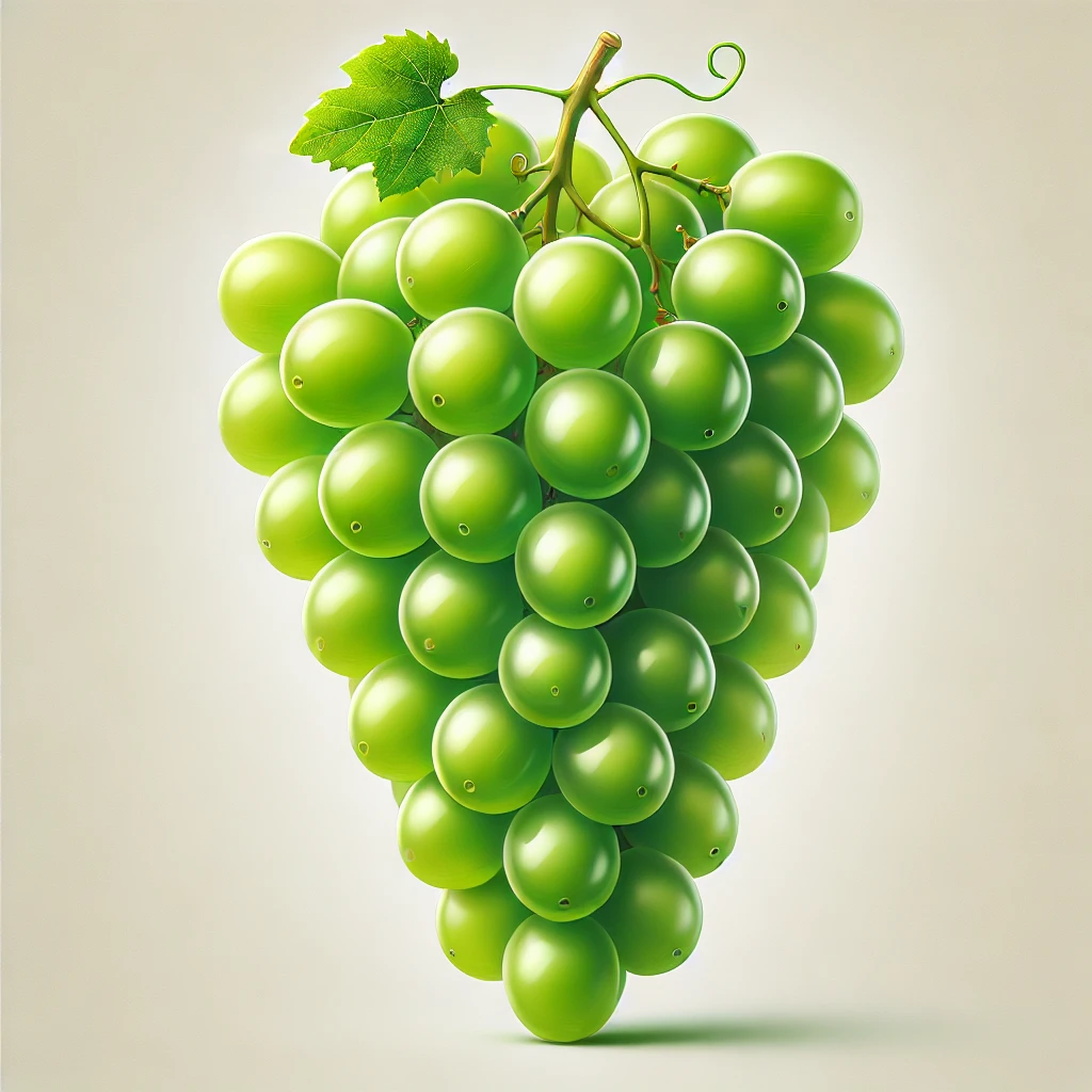 샤인머스켓 효능 한 알 칼로리 섭취 시 주의할 점