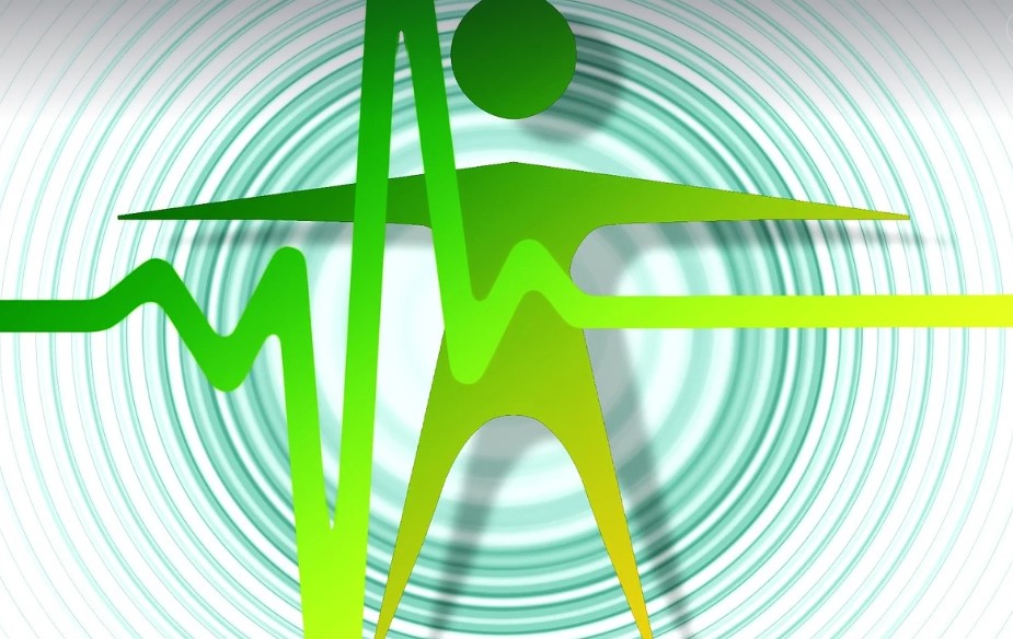 기초대사량 관련 사진