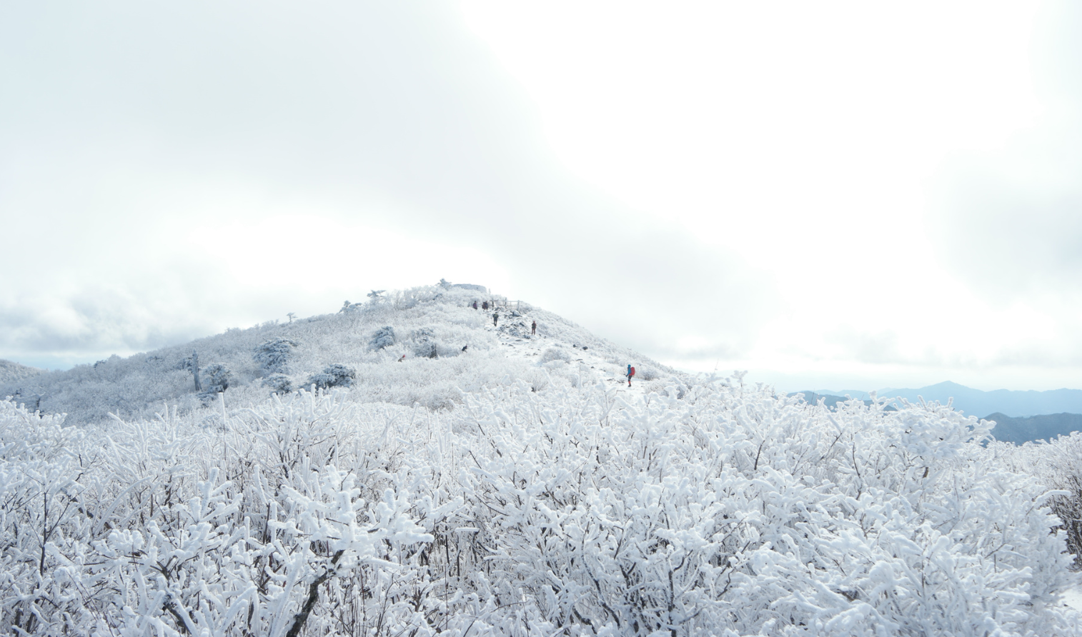 태백산