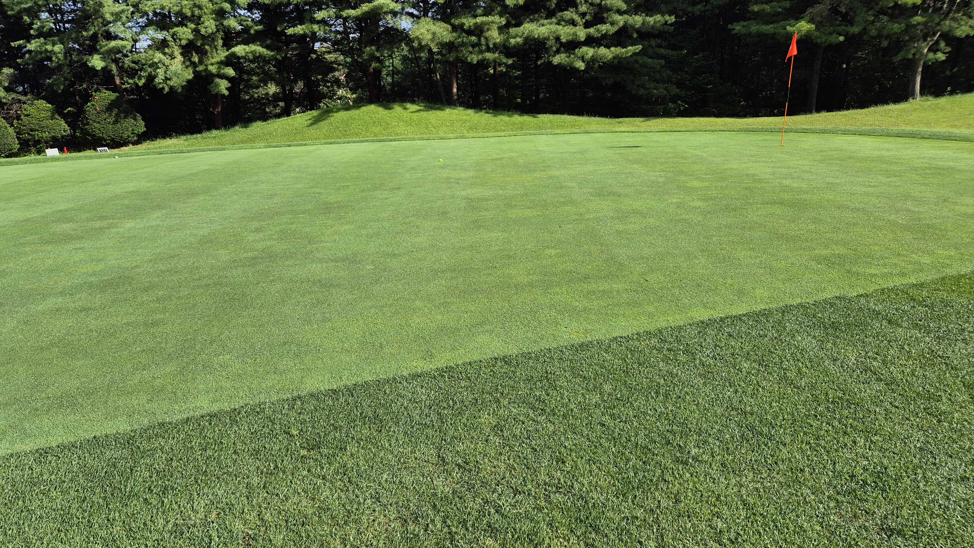 파크밸리gc 라운드 후기