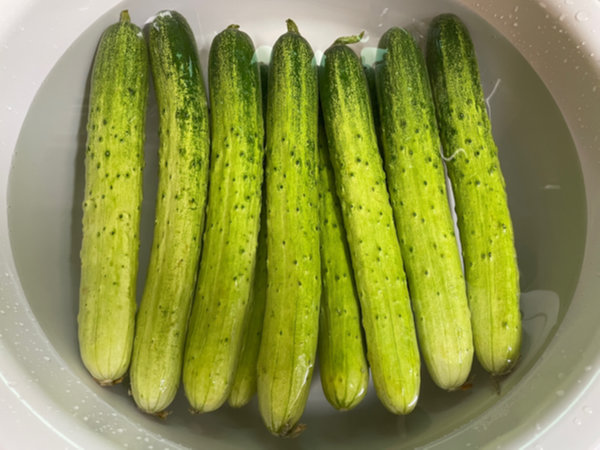 오이지 오이 세척 - 식초물에 5분 담그기